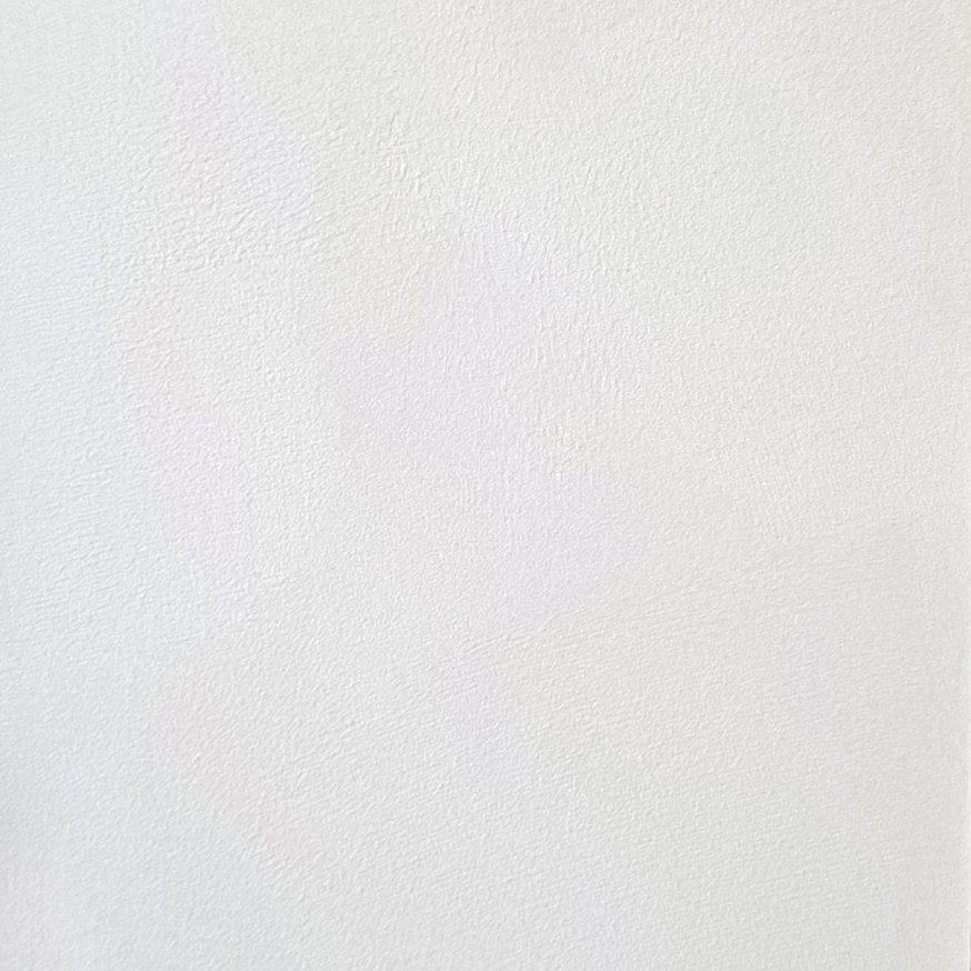 МОКРЫЙ ШЁЛК #3 (арт. FRS6104)